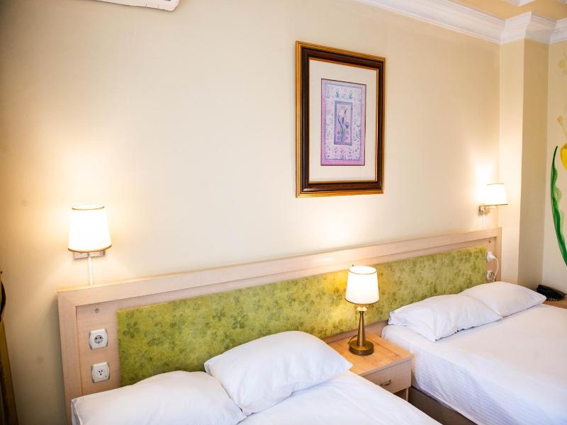 Hotel Simsek image