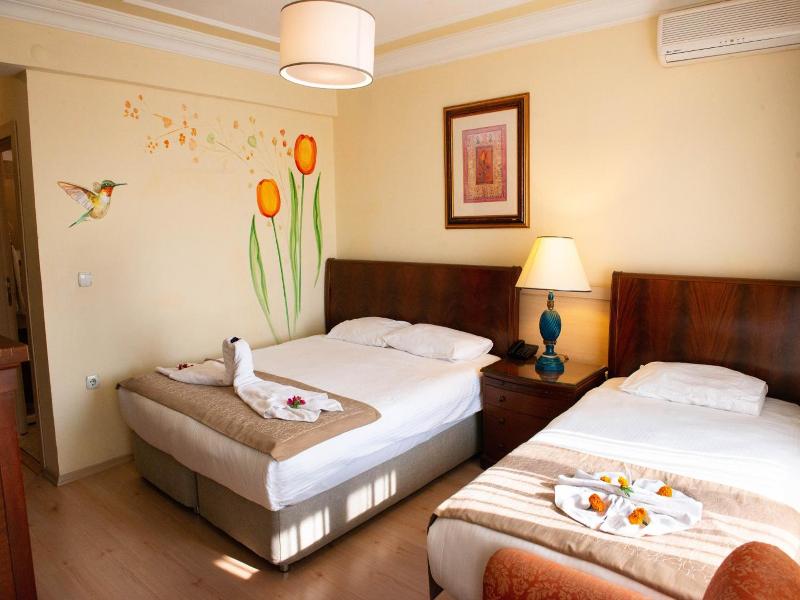 Hotel Simsek image
