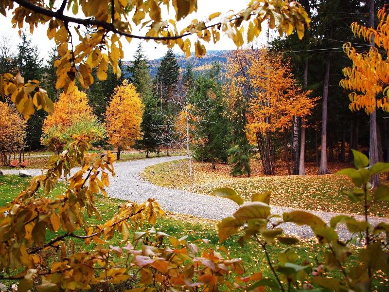 Wing Creek Resort