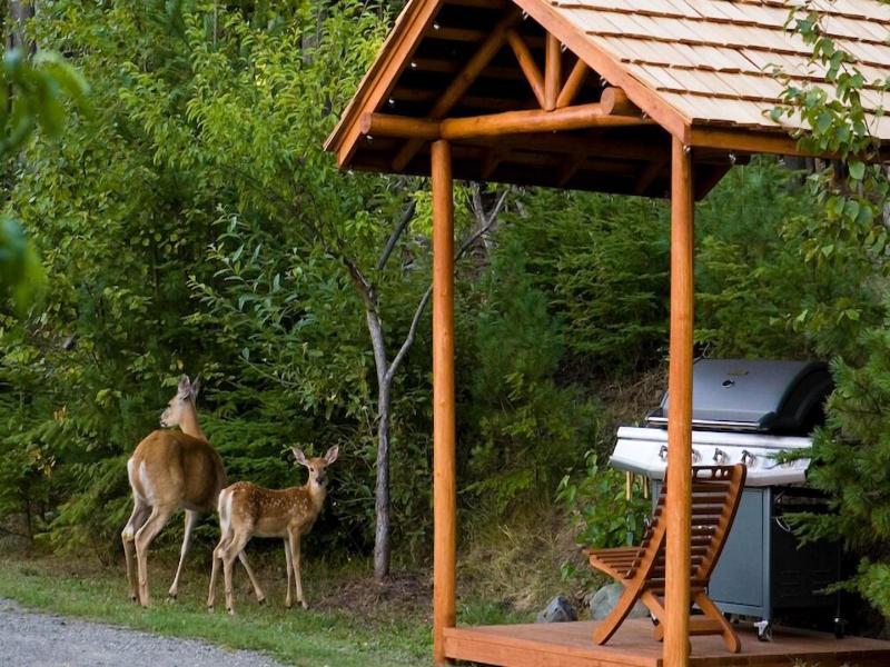 Wing Creek Resort
