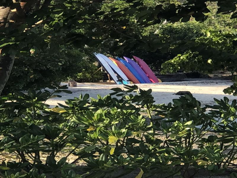 The Moso Vanuatu image