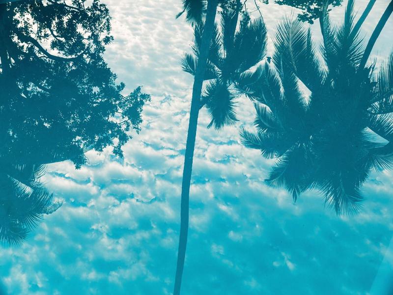 The Moso Vanuatu image
