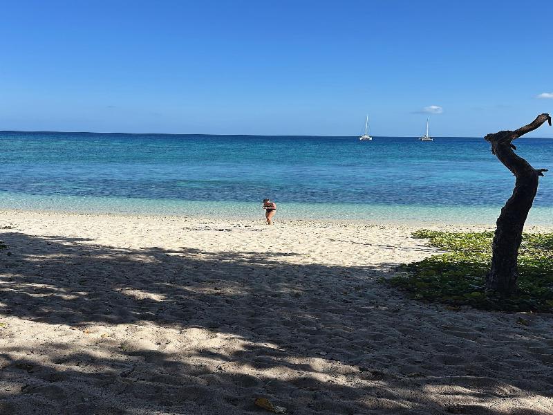 The Moso Vanuatu image