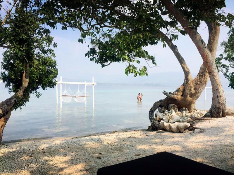 The Moso Vanuatu image