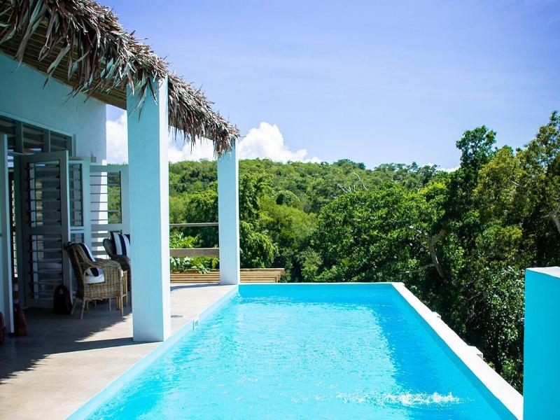 The Moso Vanuatu image