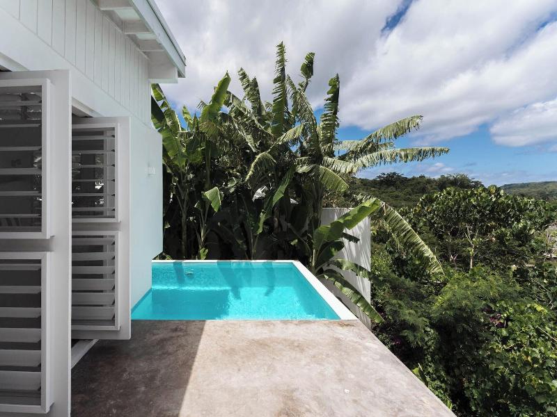 The Moso Vanuatu image
