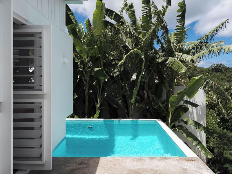 The Moso Vanuatu image