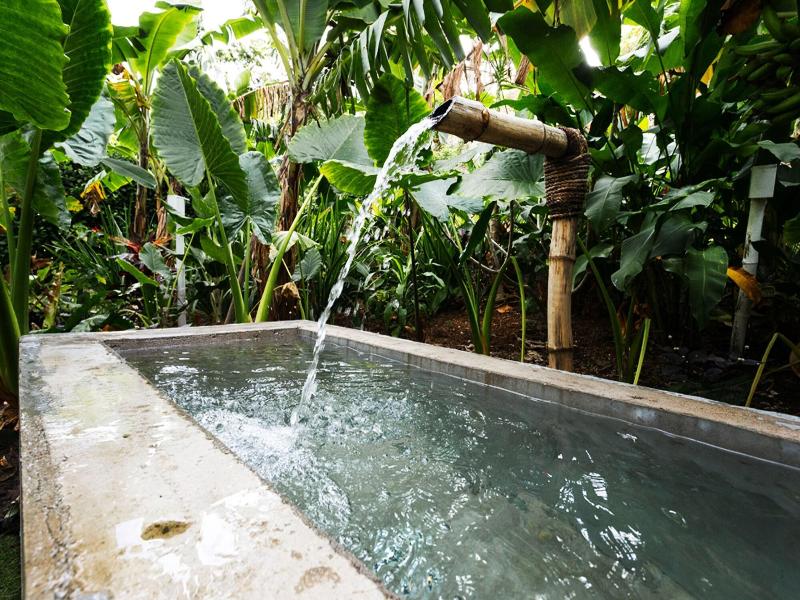 The Moso Vanuatu image