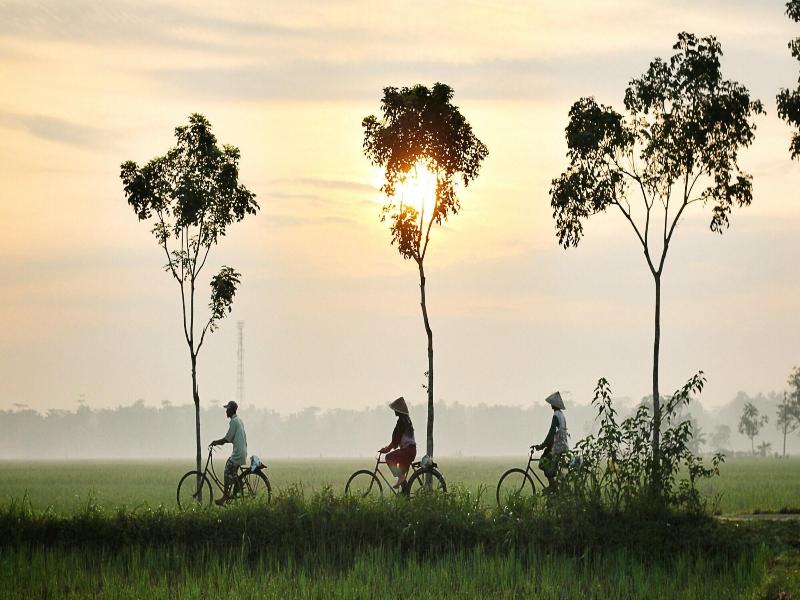 Sunkissed Paddy Hoi An Villa image