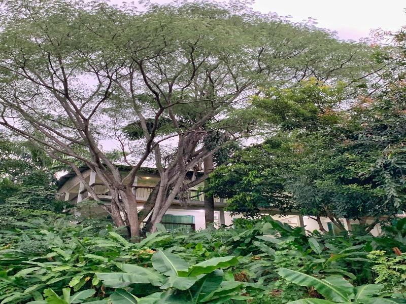 Hotel La Casablanca Tayrona image