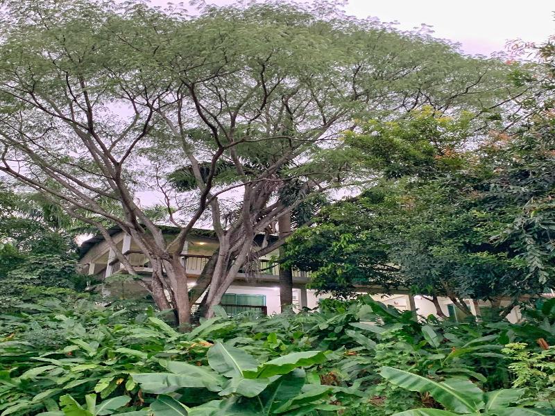 Hotel La Casablanca Tayrona image