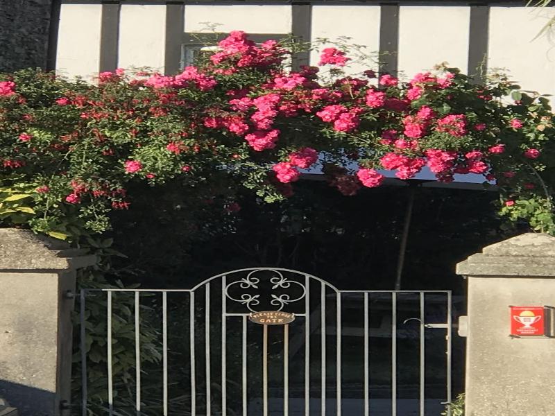 Spring Gardens B B image