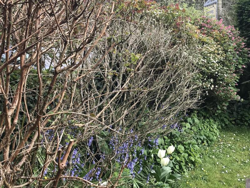 Spring Gardens B B image
