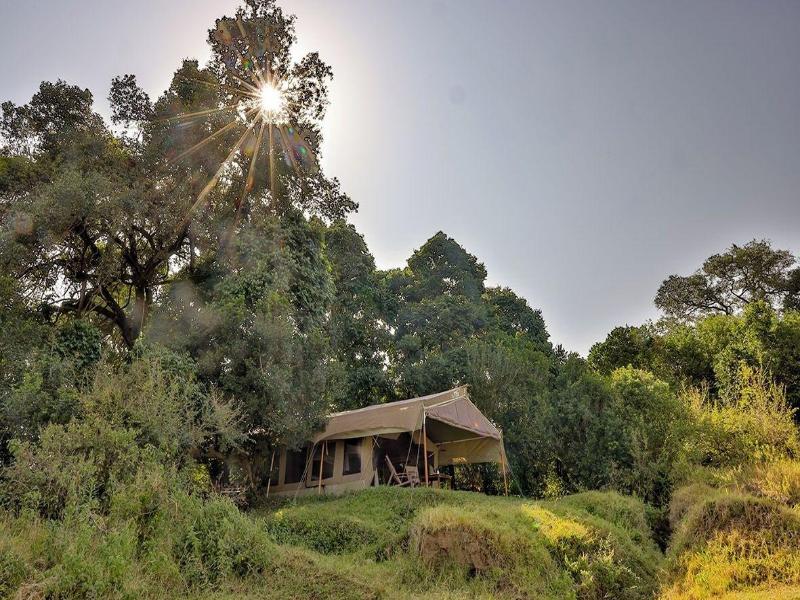 Sentinel Mara Camp image