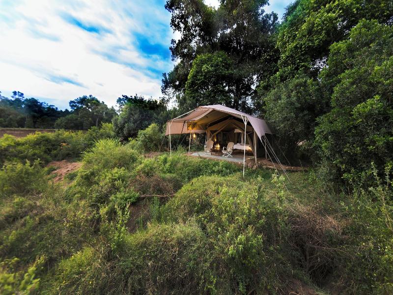 Sentinel Mara Camp image