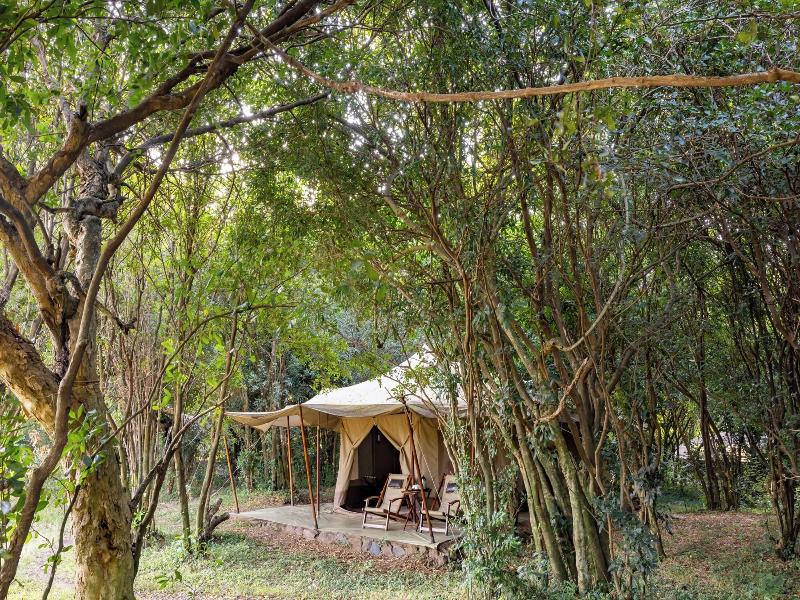 Sentinel Mara Camp image