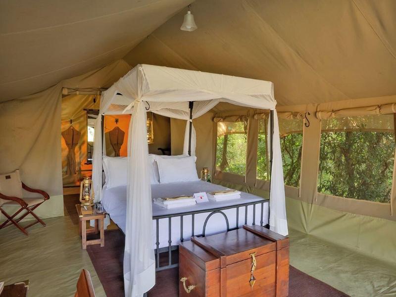 Sentinel Mara Camp image