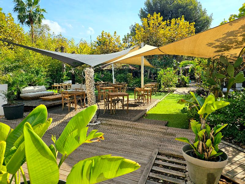 Adonis Sanary Hotel des Bains image