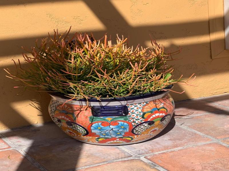 Sandyland Reef Inn image