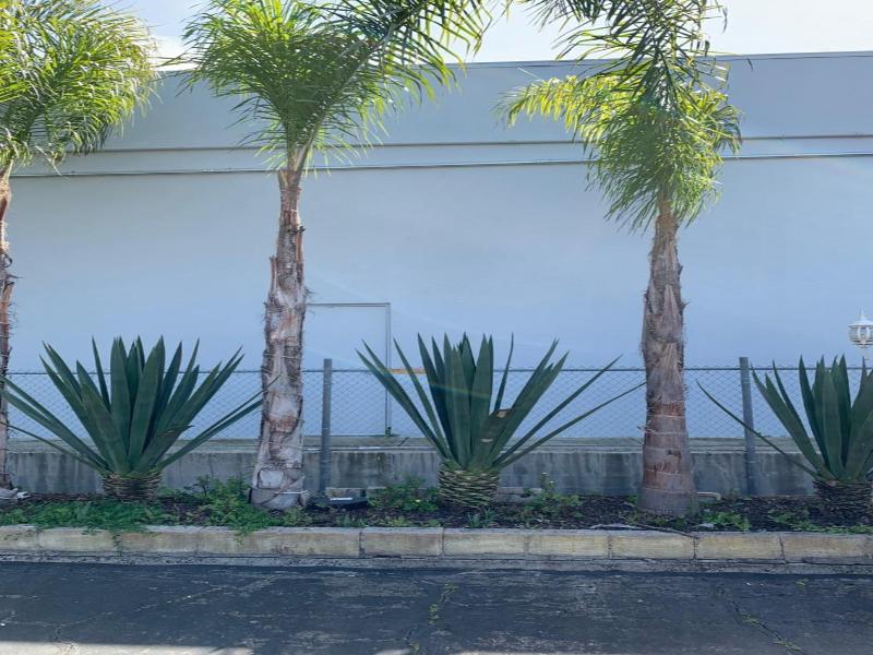 Sandyland Reef Inn image