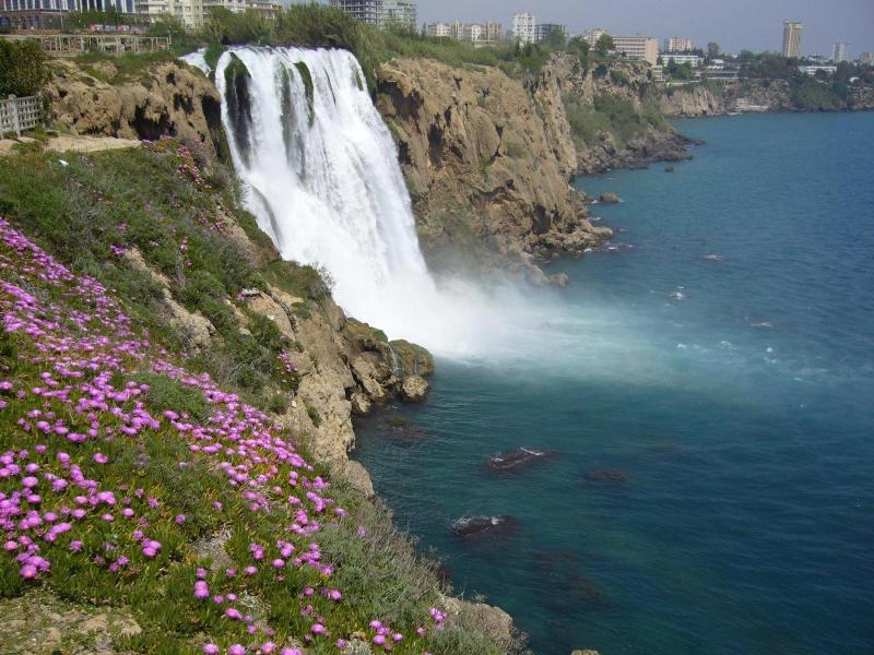 Marka Hotel image