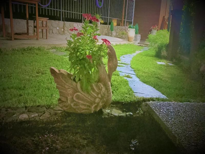Il Laghetto image
