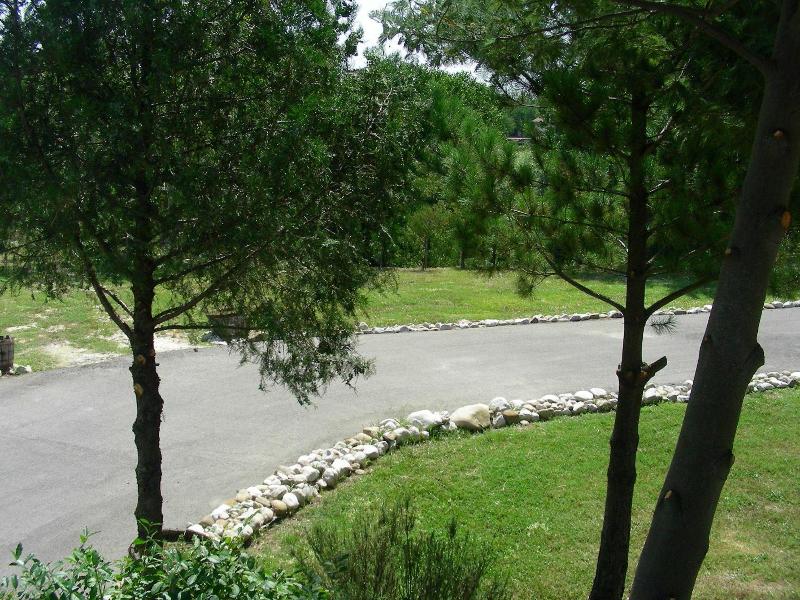 Hotel D G Garden image