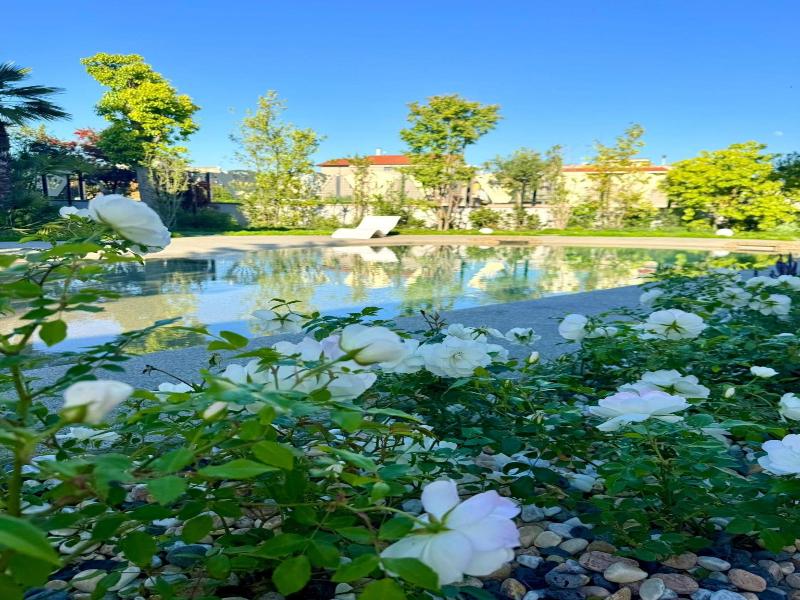 Hotel Elio image