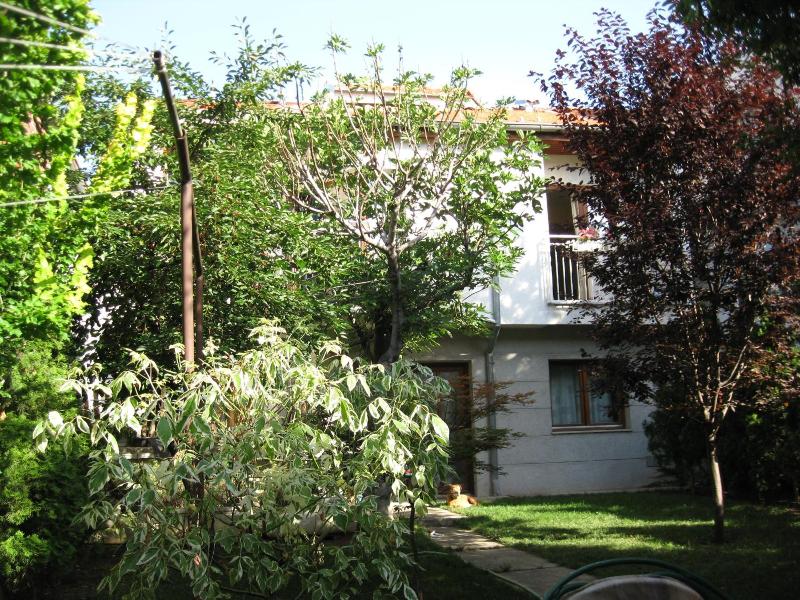 Hostel Oasis image