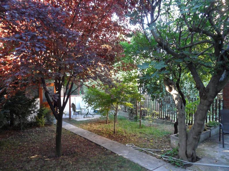 Hostel Oasis image