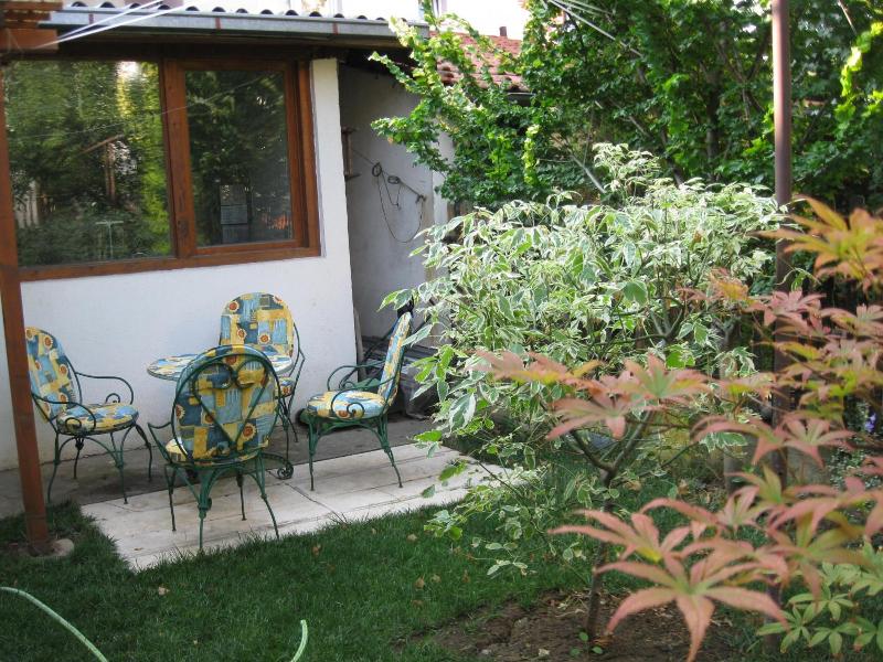 Hostel Oasis image