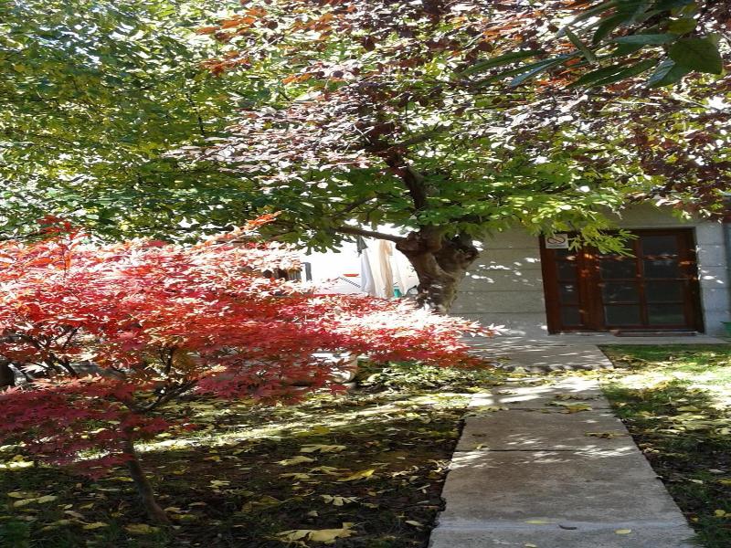 Hostel Oasis image
