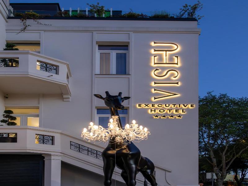 Viseu Executive Hotel image