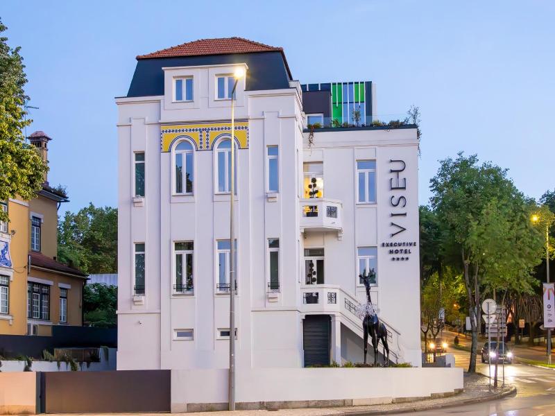 Viseu Executive Hotel image