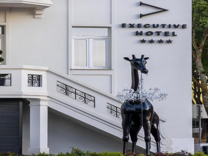 Viseu Executive Hotel image
