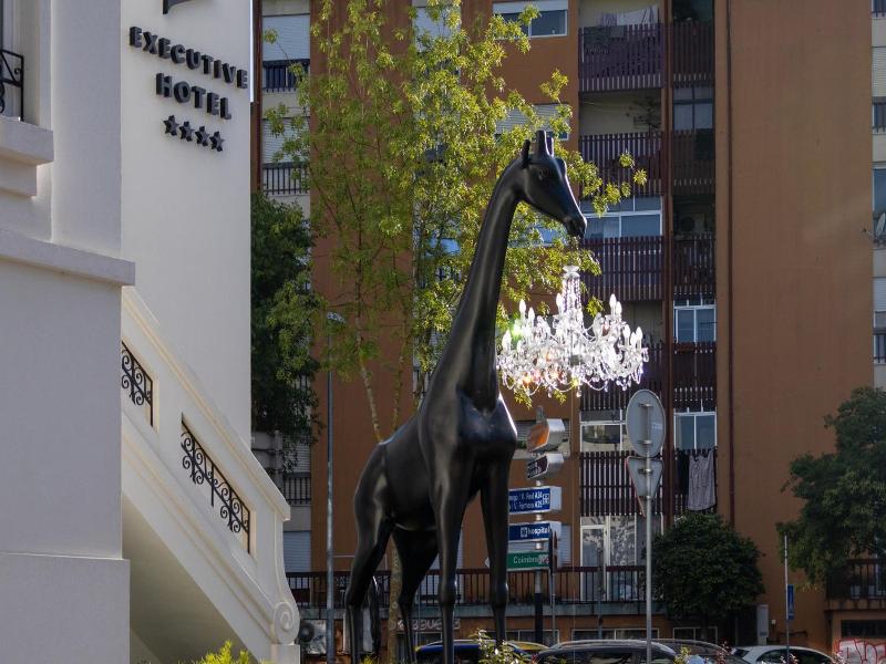 Viseu Executive Hotel image