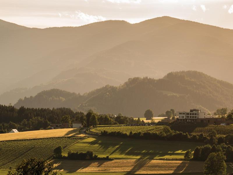 Trippelgut Schlafgut image