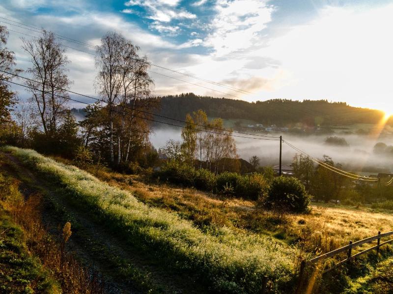 Trippelgut Schlafgut image