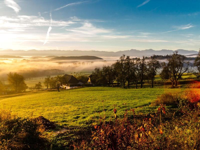 Trippelgut Schlafgut image