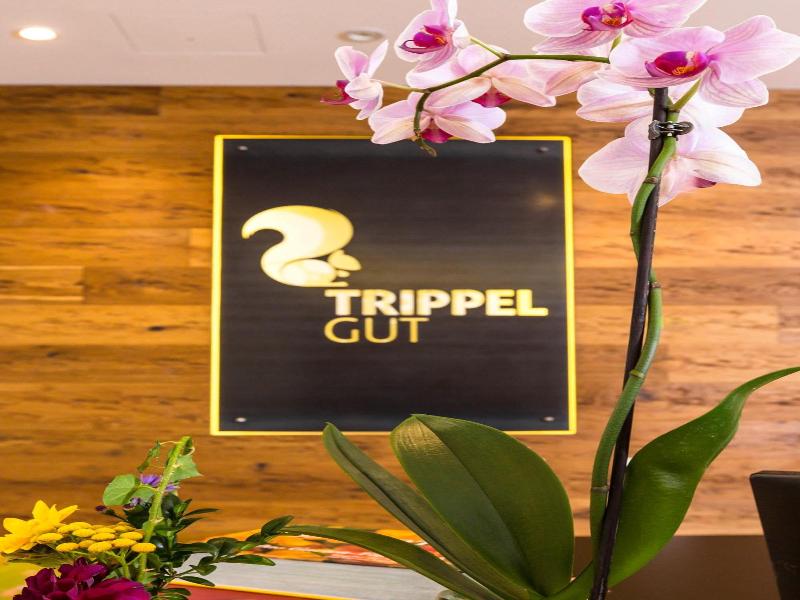 Trippelgut Schlafgut image