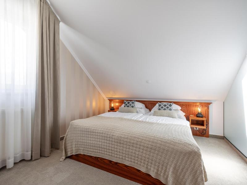 Hotel Kotnik Superior image