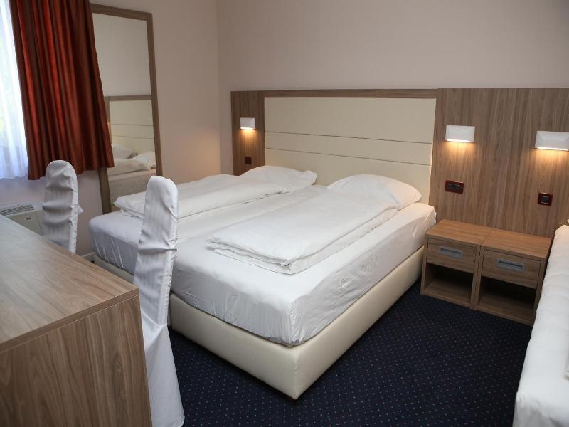 Hotel Ana image