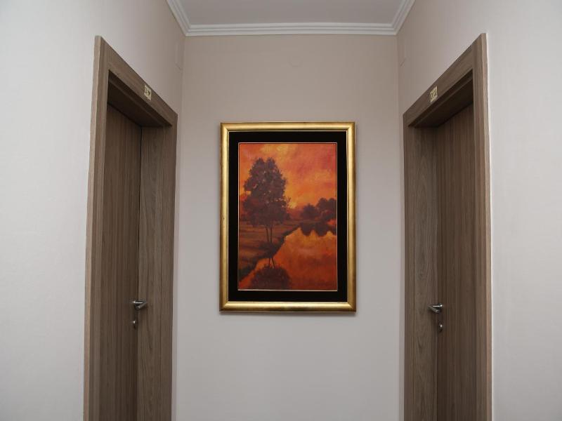 Hotel Ana image