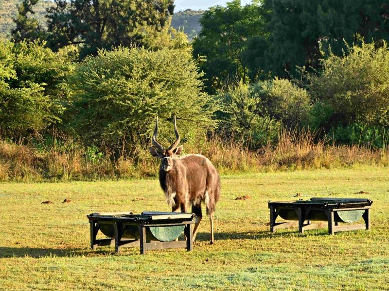Bon Hotel Rustenburg image