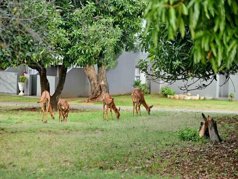 Bon Hotel Rustenburg image