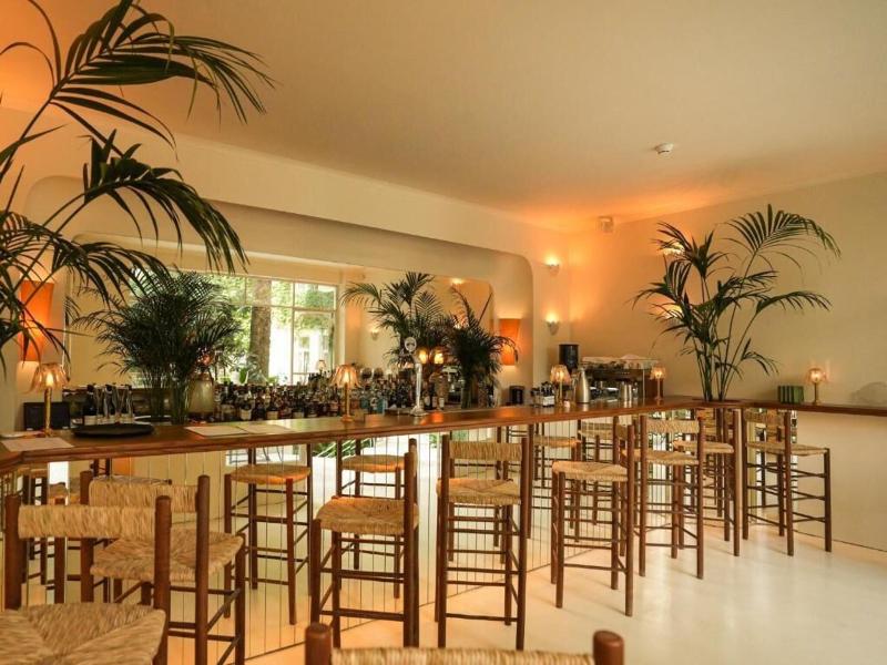Apollo Palm Hotel image