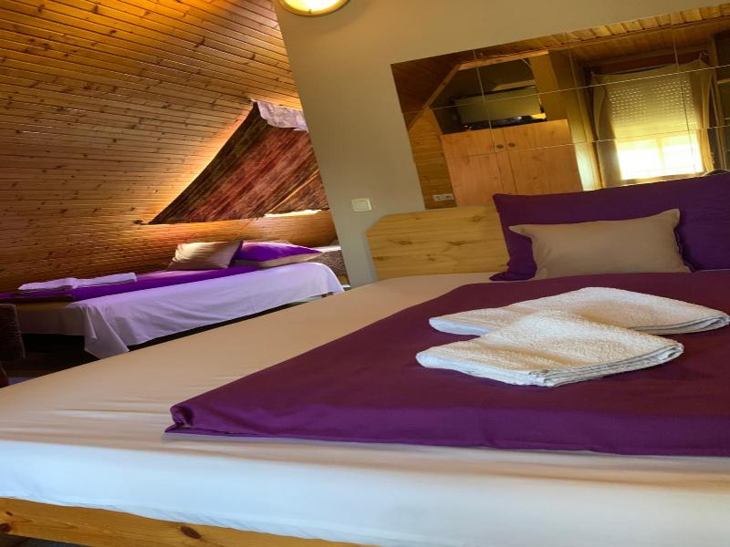 Sashalom Hotel image