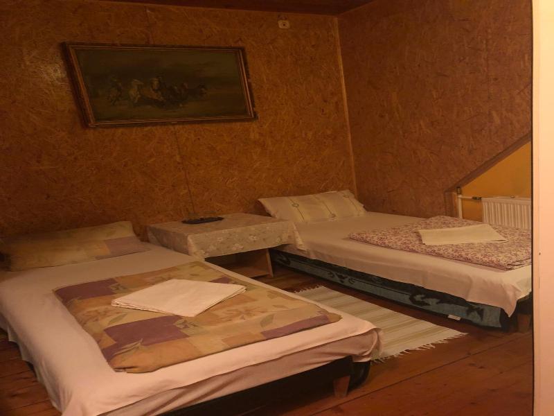 Sashalom Hotel image