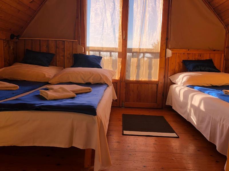 Sashalom Hotel image