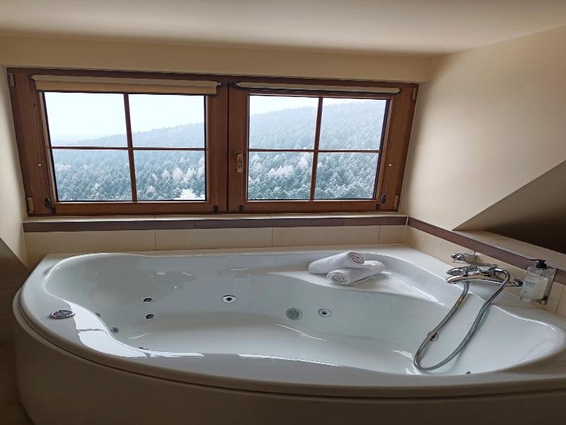 Hotel Beskidzki Raj Medical Spa image